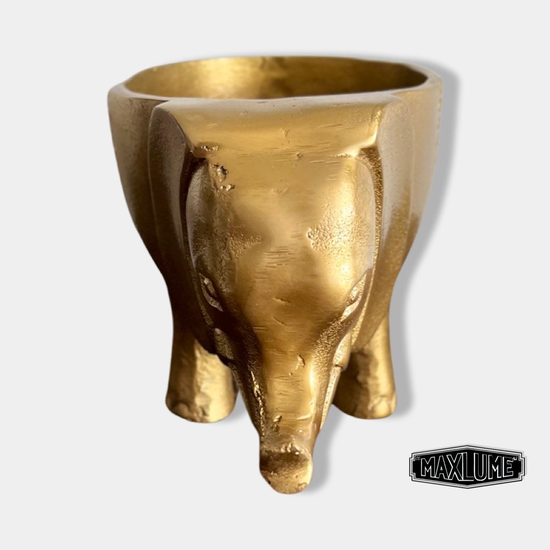 Maxlume - Elephant Solid Cast Brass Metal Planter Pot for Succulents & Plants | Safari Planter | Animal Pot | Unique Planter |