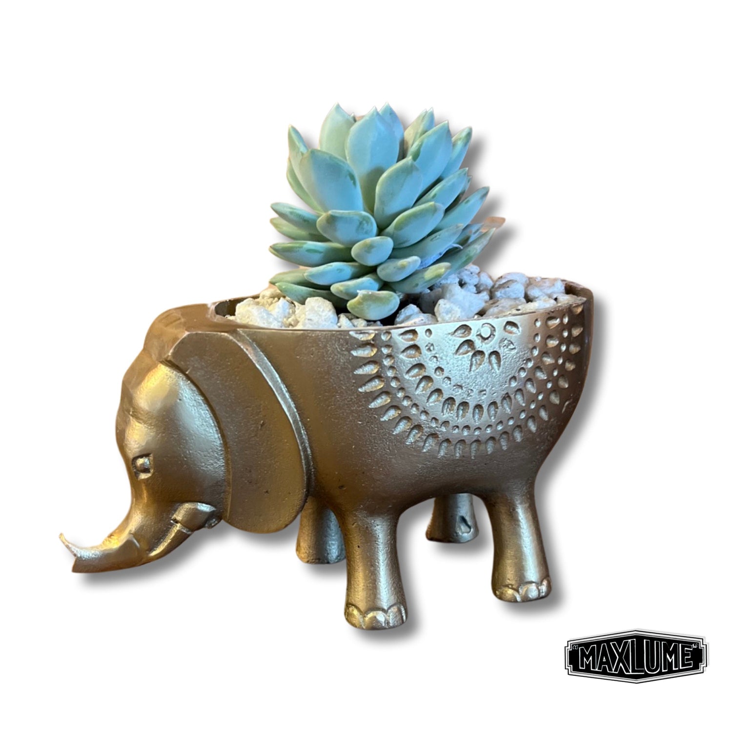 Maxlume - Elephant Solid Cast Brass Metal Planter Pot for Succulents & Plants | Safari Planter | Animal Pot | Unique Planter |